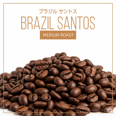 ブラジルサントス